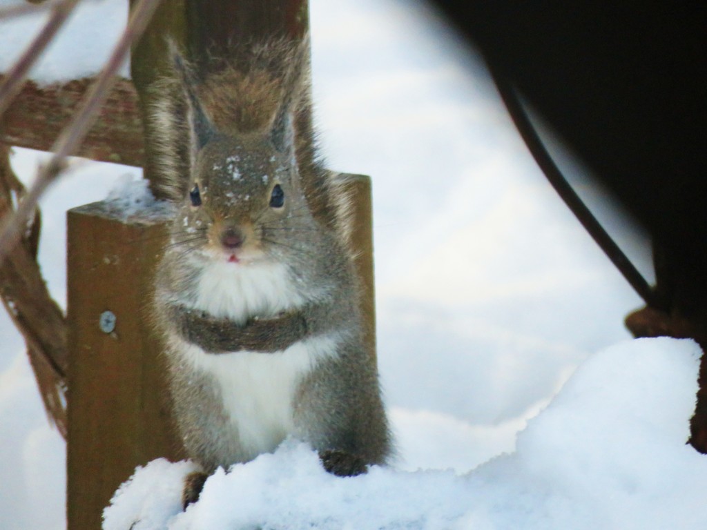 雪の中で