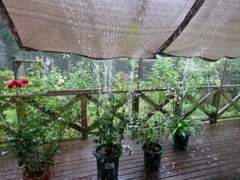 突然の豪雨 突然の豪雨
