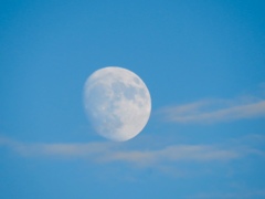 今日の夕方の月1