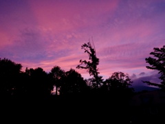 夕焼け