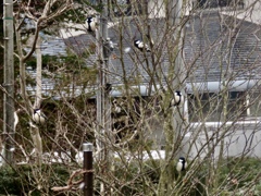 順番待ち1