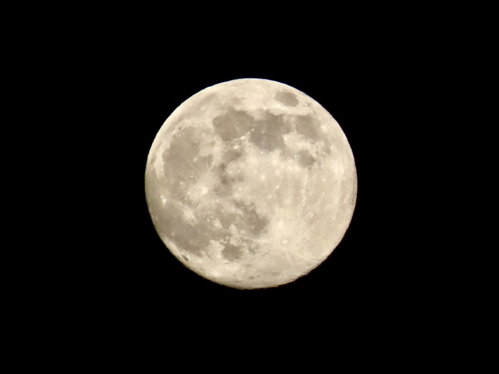 コールドムーン