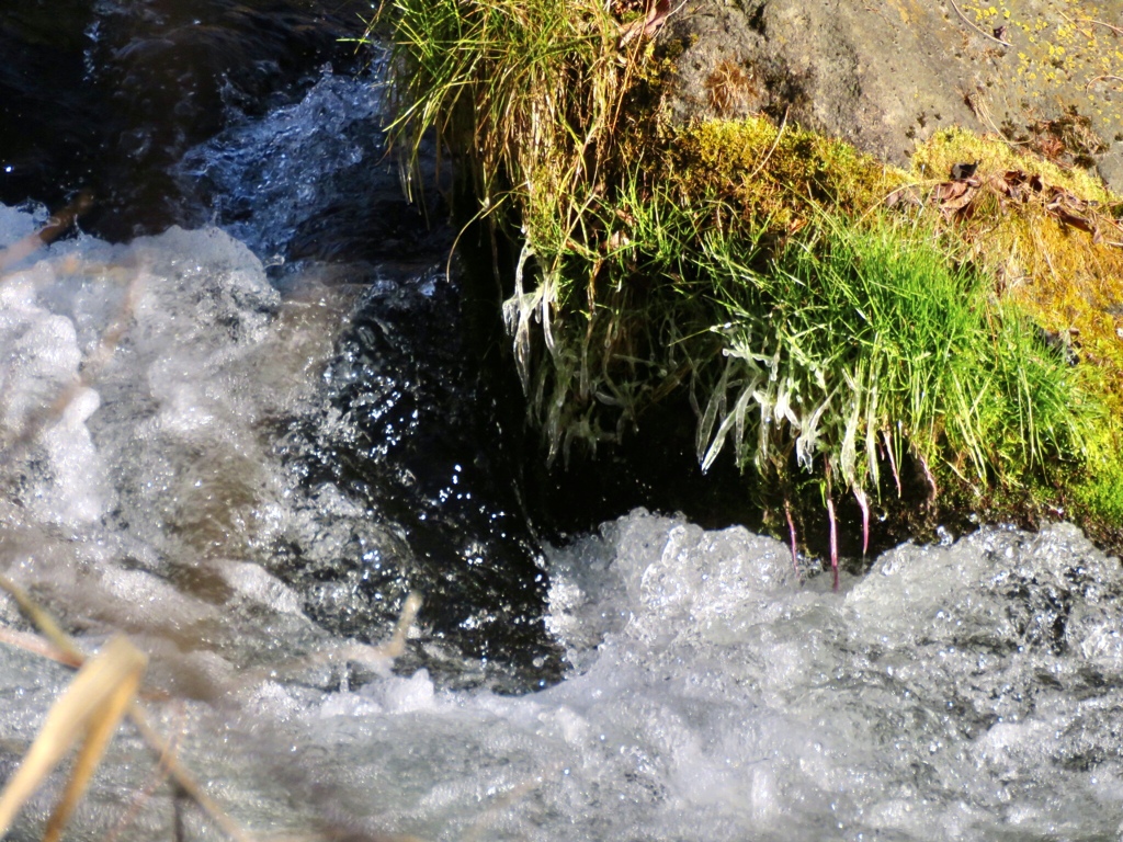 しぶき氷