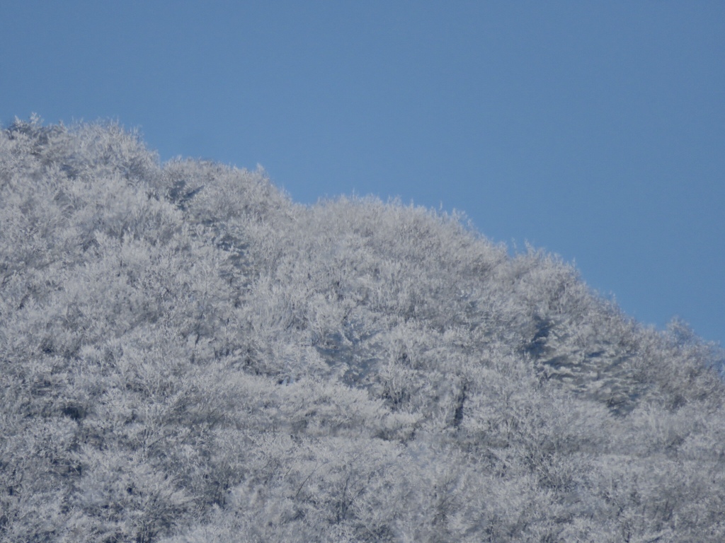 霧氷