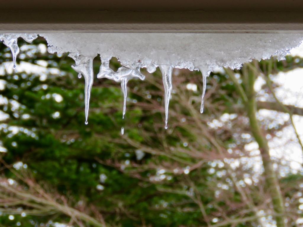 雪どけ