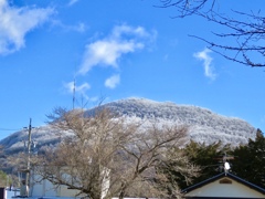 今朝の離山