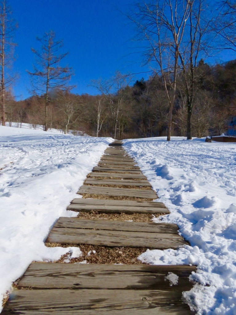 雪の中の一本道