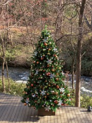 クリスマスツリー２