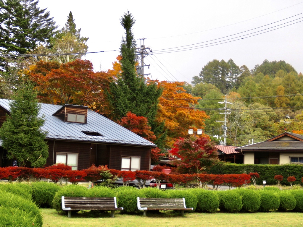 近所の紅葉2