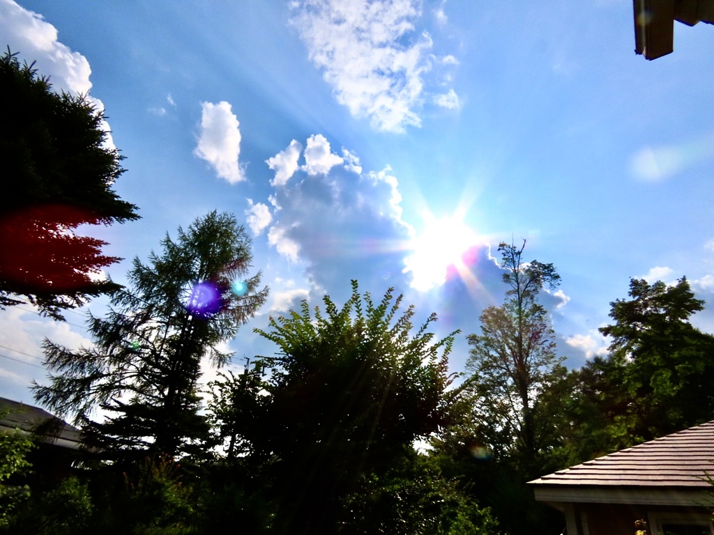 眩しい太陽
