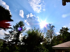 眩しい太陽