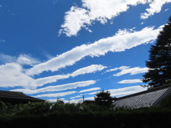 昨日の朝の空