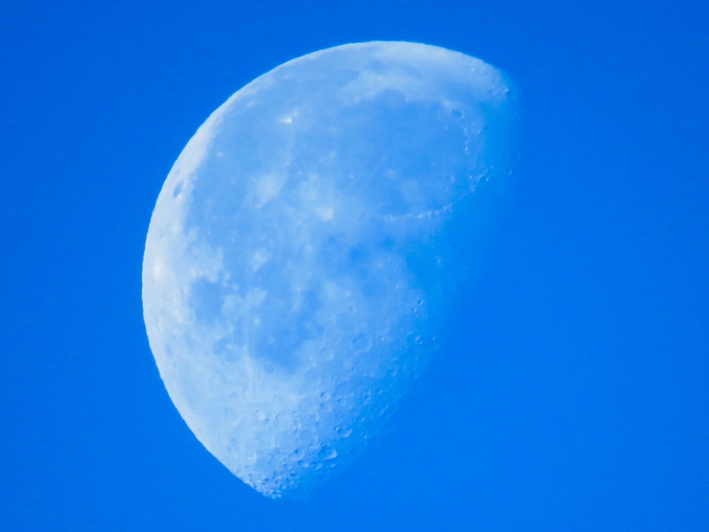 Morning Moon