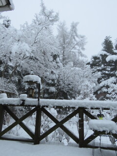 今朝の雪1