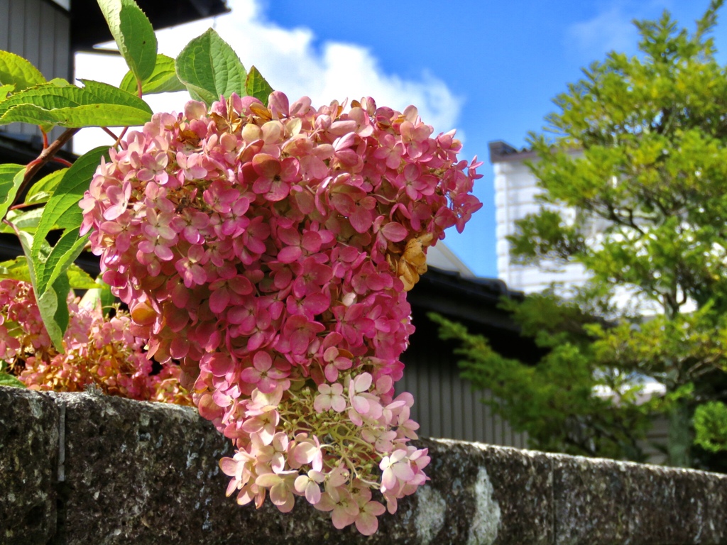 グラデーション