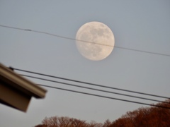 もう直ぐ満月