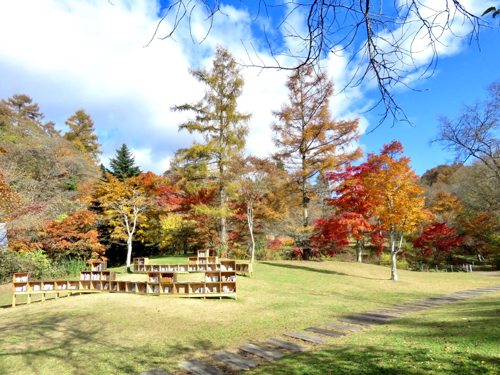 紅葉の最終章7