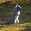 隠してあたりを見渡す