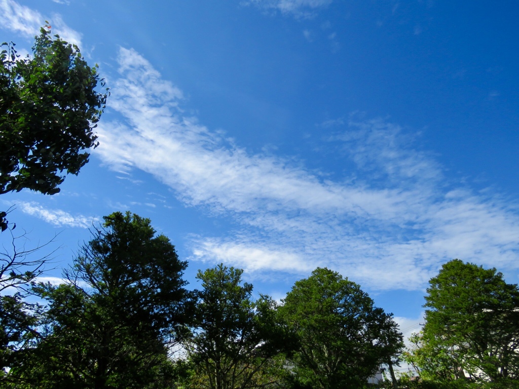 秋晴れの空1
