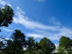 秋晴れの空1