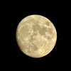 十三夜
