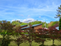 紅葉と浅間山