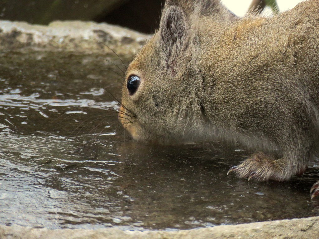 氷の割れ目から