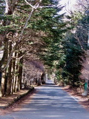 道