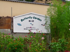 Butterfly garden