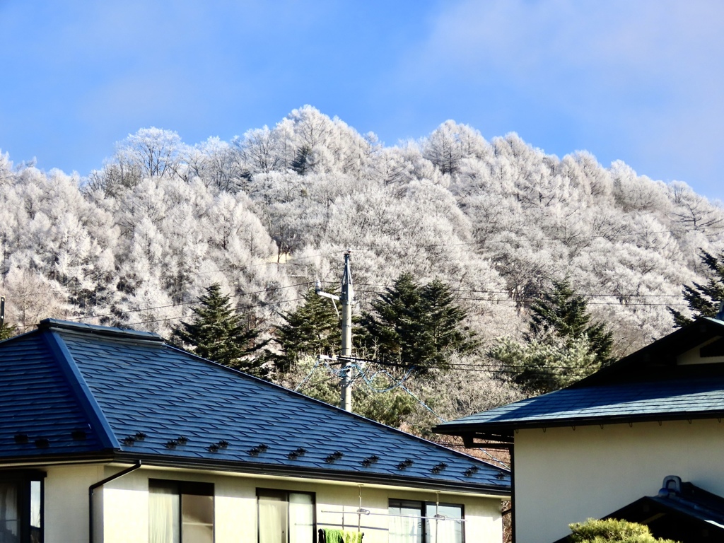 霧氷②