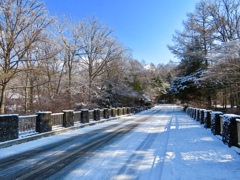 雪景色3