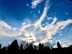 夕方の西空