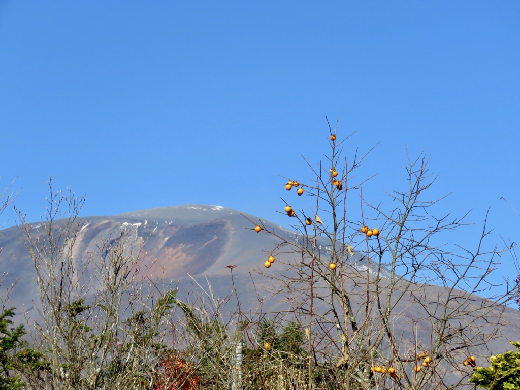 柿と浅間山
