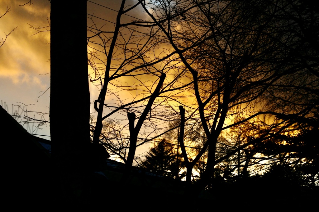 夕焼け