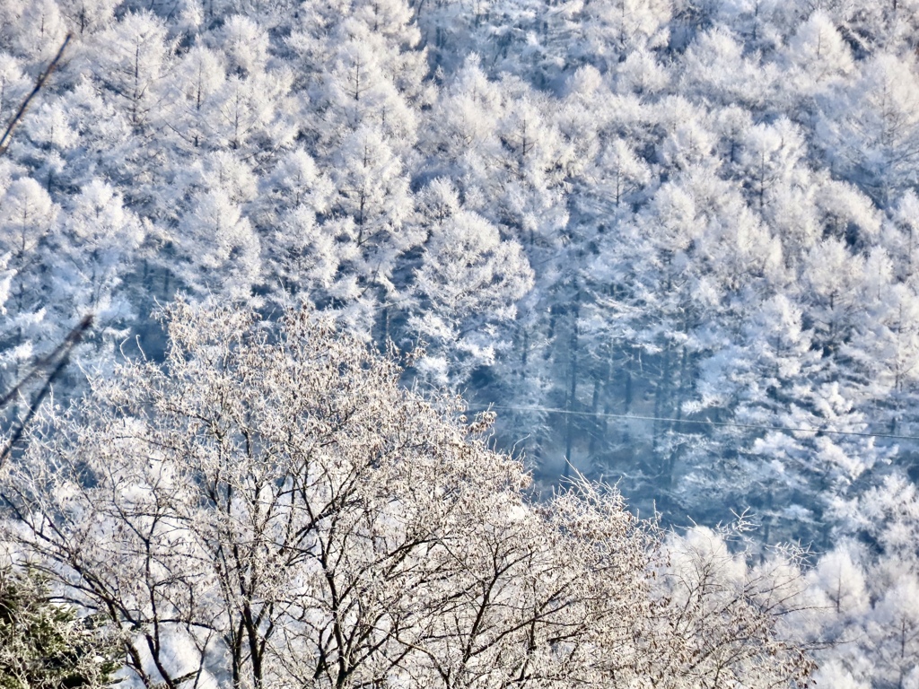霧氷⑤