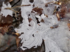 氷の芸術