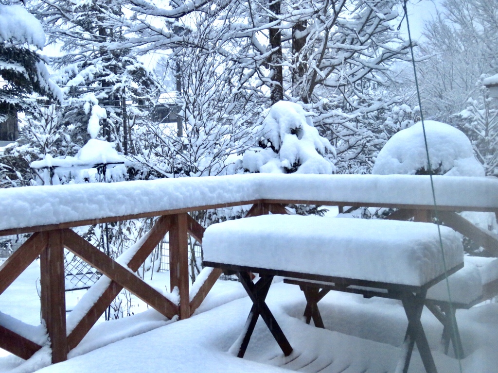 先程の積雪2