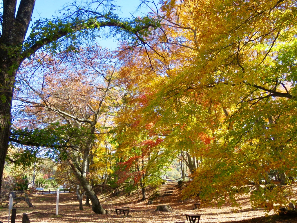 長倉神社の紅葉2