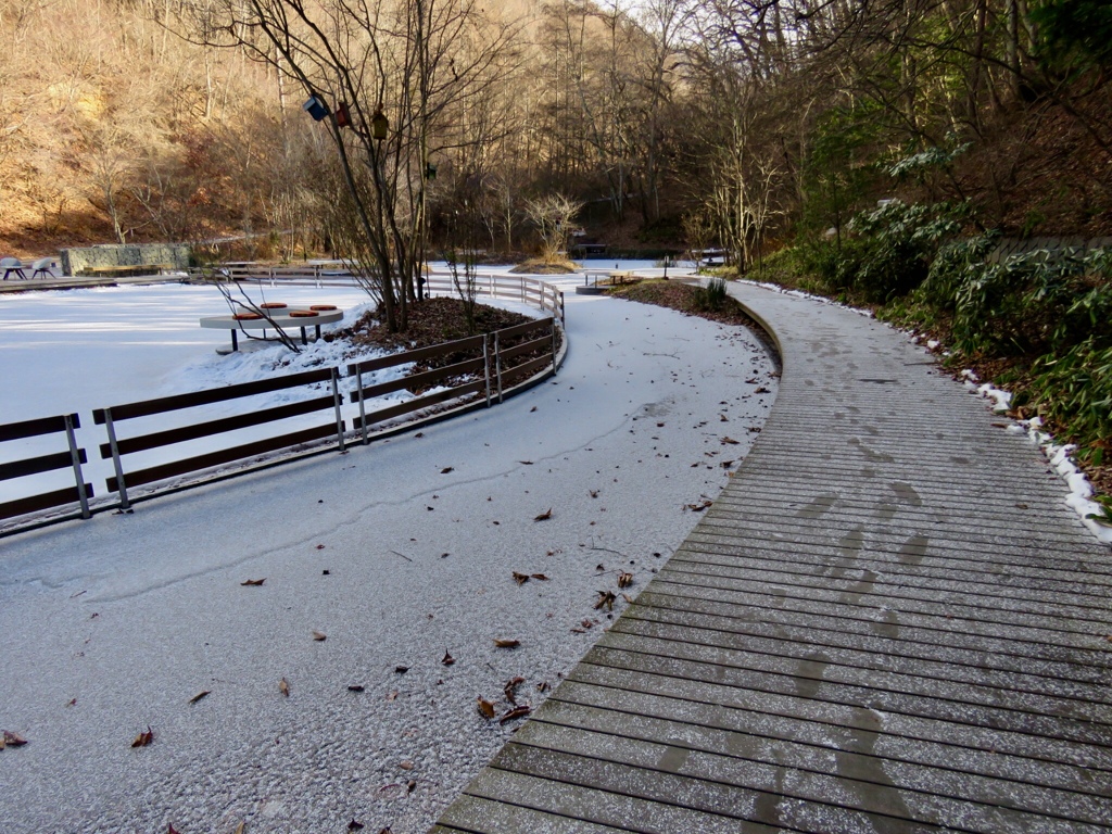 ケラ池と遊歩道