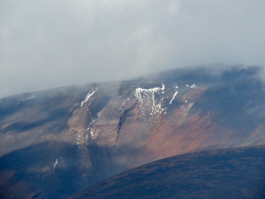 初冠雪の名残り