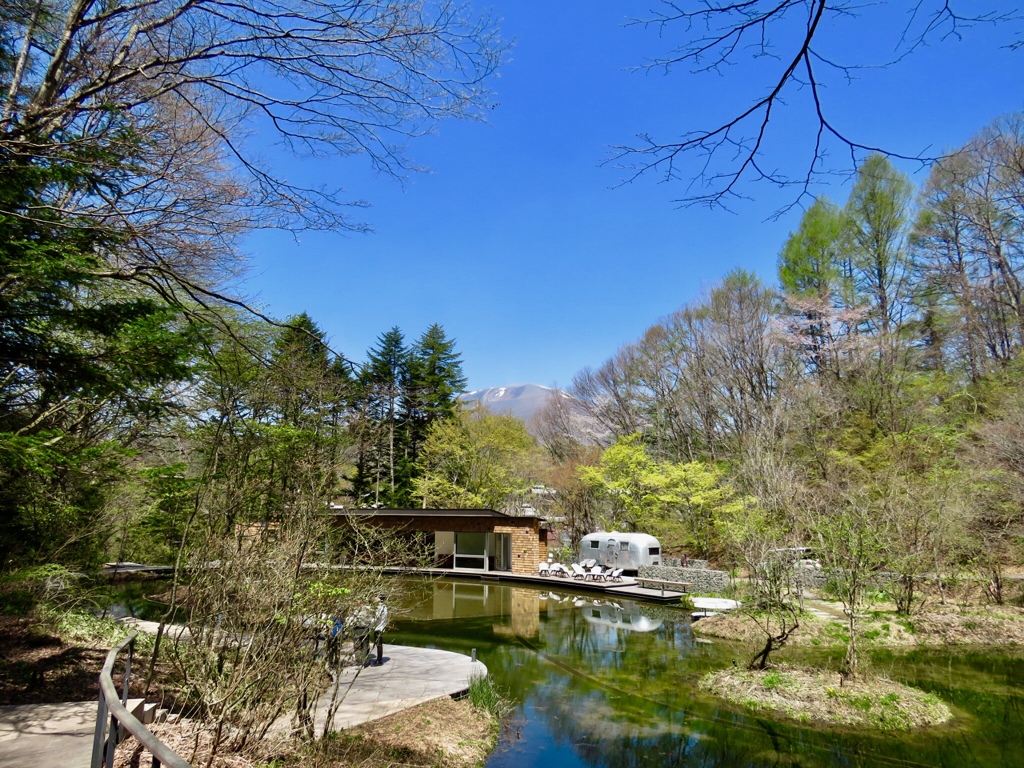 芽生え