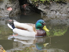 顔になんかついてるよ