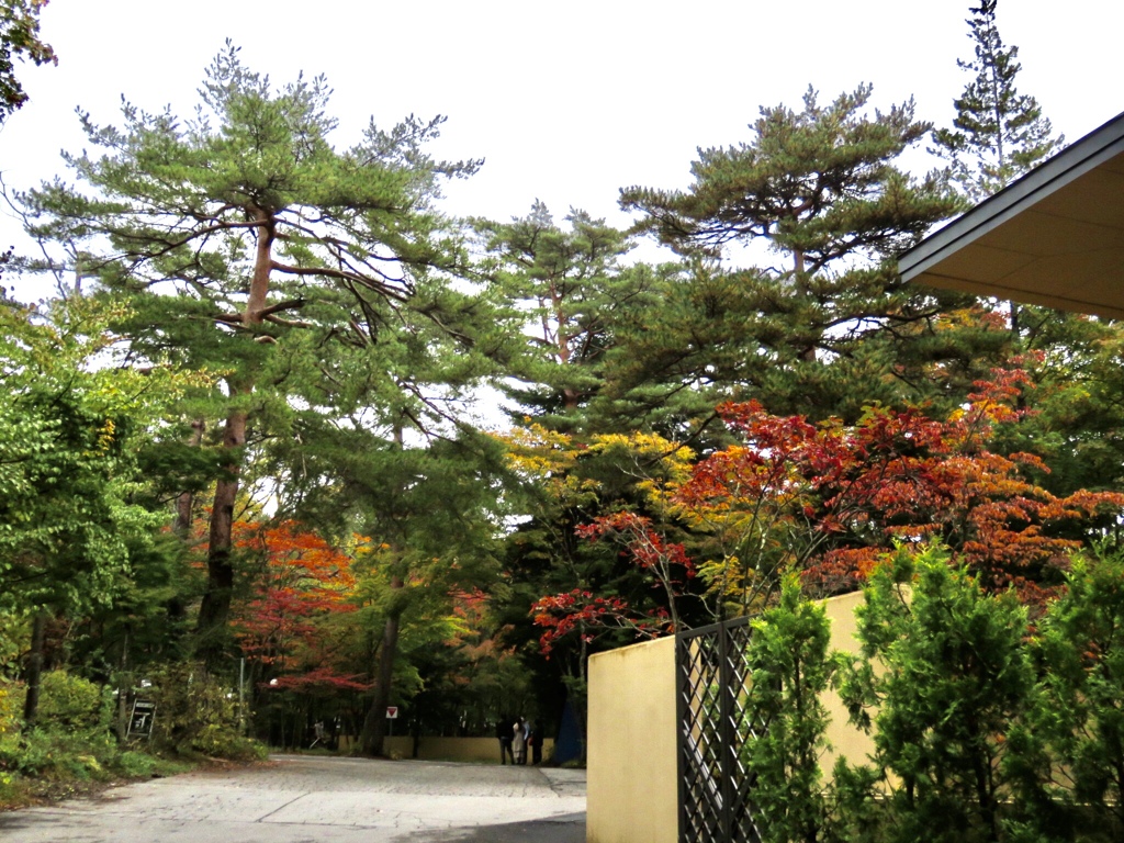 紅葉の始まり