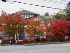 お写ん歩紅葉8