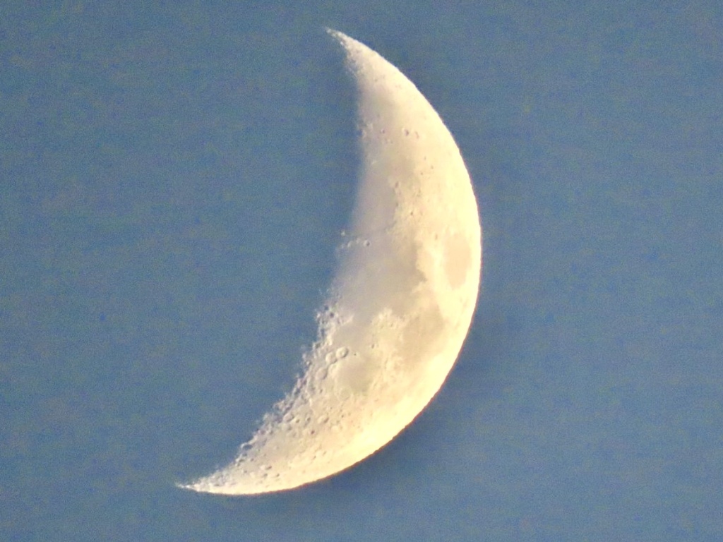 昨日の夕方の三日月