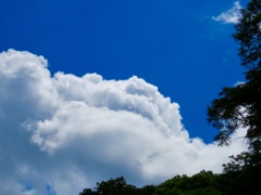 夏雲