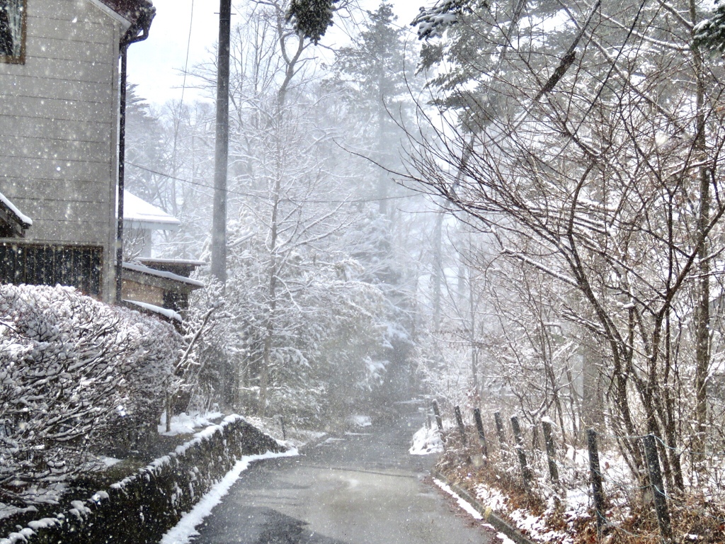 雪煙