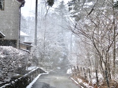 雪煙