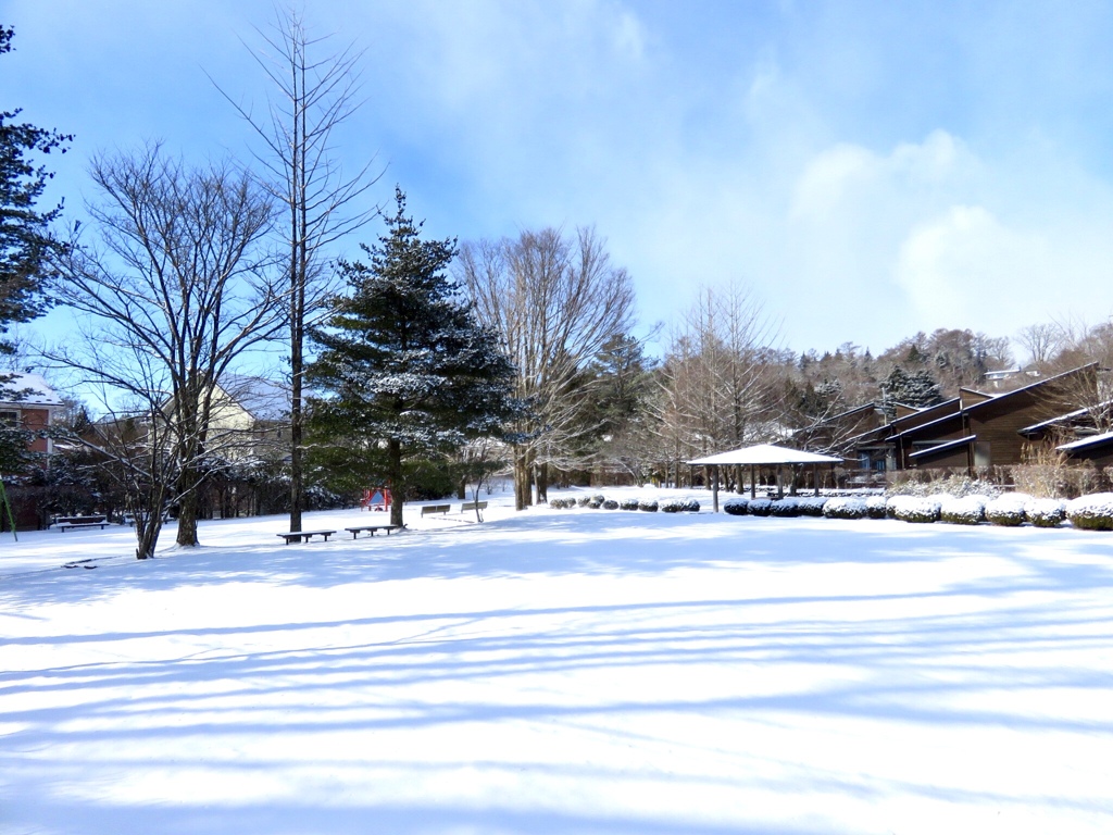 今朝の雪2