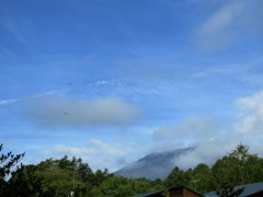 浅間山とトビ